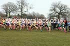 Girls under-13s 2016 Inter Counties Cross Country Champs. and Cross Challenge Final, Cofton Park, Birmingham. Photo: David T. Hewitson/Sports for All Pics